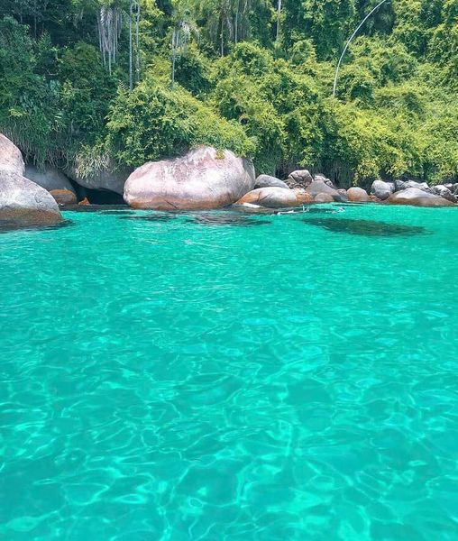 136699080 2608716976092941 8526691908217577300 n