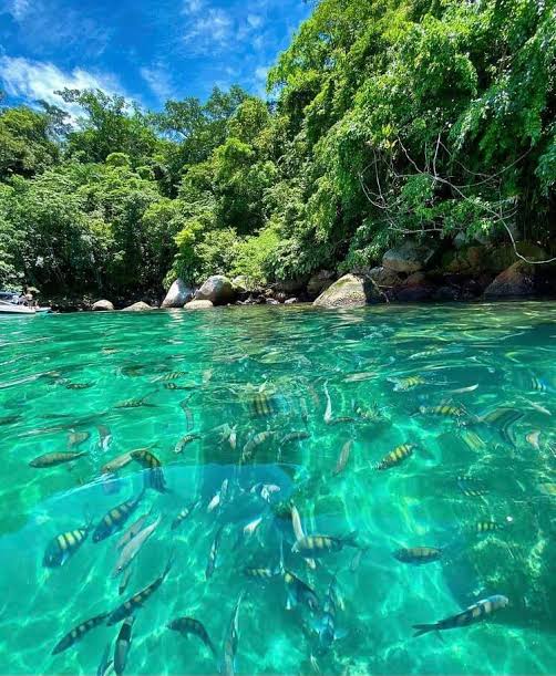 whatsapp image 2025 09 28 at 07.42.38